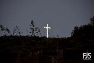 Diana floreada en tiempos de pandemia en Lomo Magullo/Francisco Javier Santana.